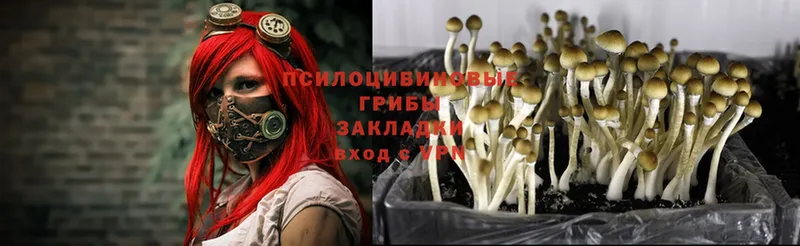 Псилоцибиновые грибы Magic Shrooms  Рославль 